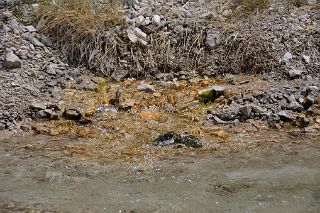 21 Bubbling Hot Spring At Kerqin Camp 3968m In The Shaksgam Valley On Trek To K2 North Face In China